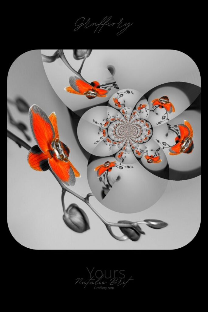 Graffiory Flower Digital Geometrical Collection
