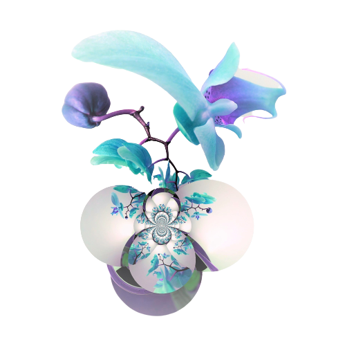 Orchid Graffiory Flower Digital Geometrical Collection